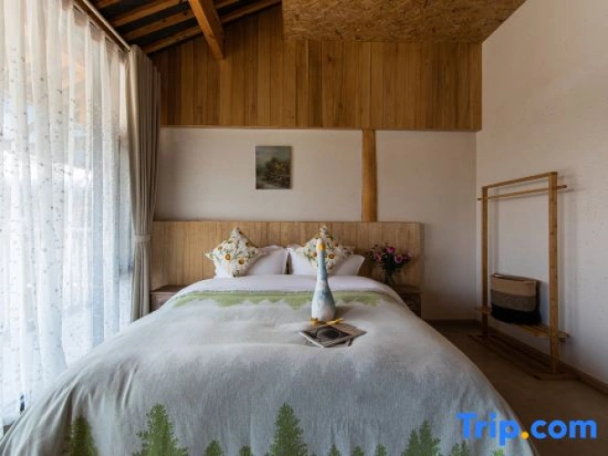 Standard Double room with courtyard view