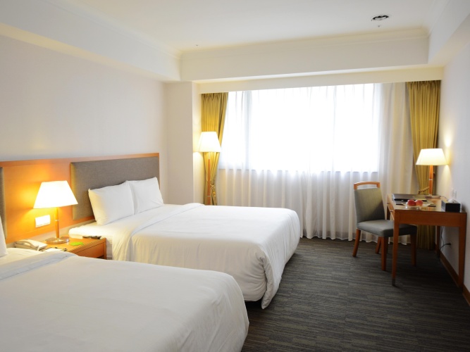 Superior Twin room with view