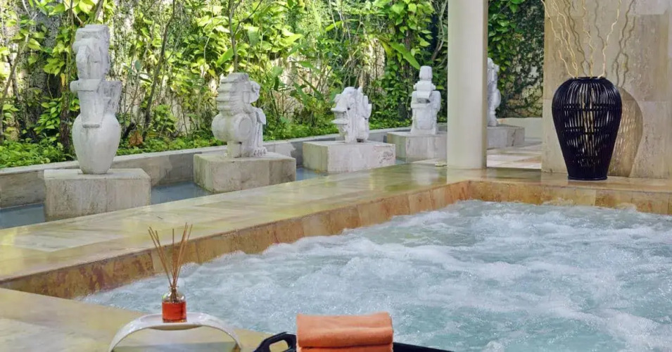 Royal Service at Paradisus Punta Cana - Adults Only All Inclusive Hotel Overview