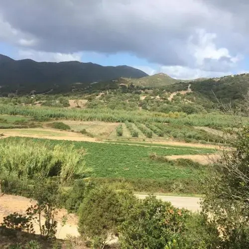 Sardinian House