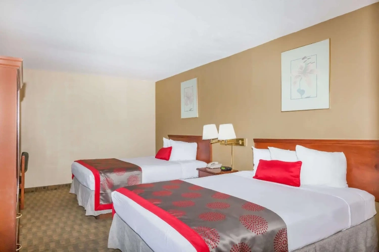 Standard Quadruple room