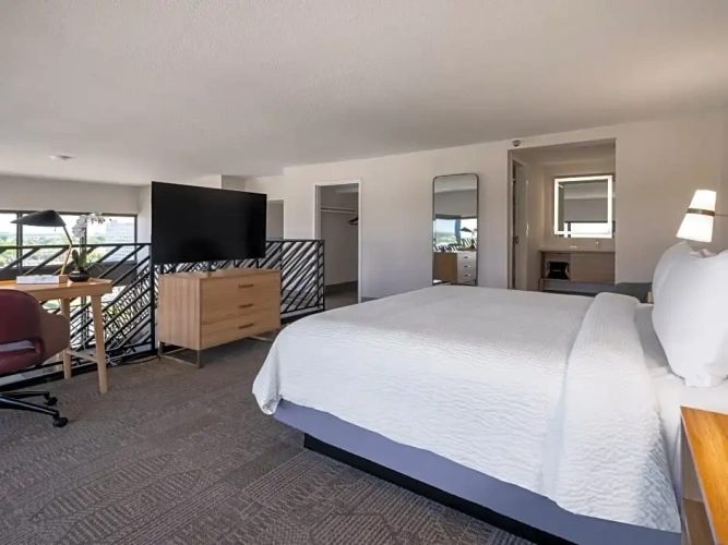 1 Bedroom Double Penthouse Suite