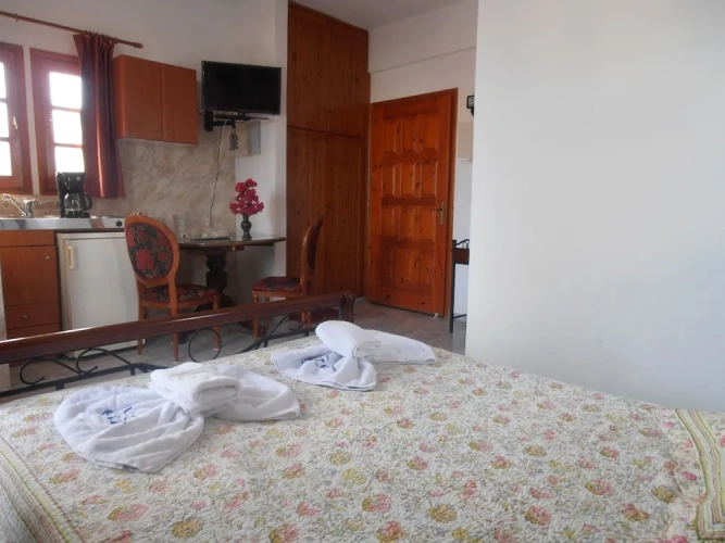 Economy Basement Studio with garden view