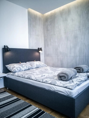 Raw Industrial City Apartment