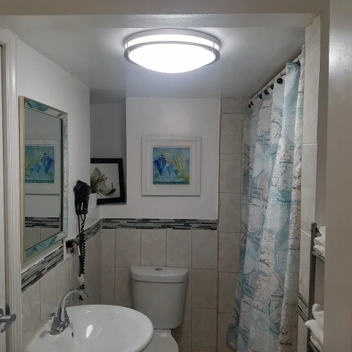 Executive Apartment