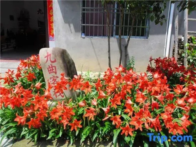 Wuyishan Jiuqu Inn