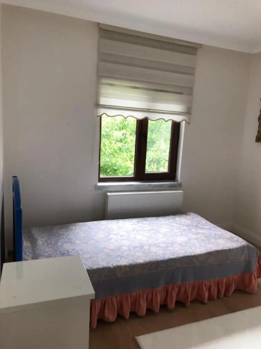 Capacious Villa Surrounded by Nature in Ankara