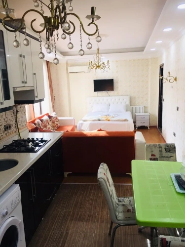 Deluxe Apartment with city view