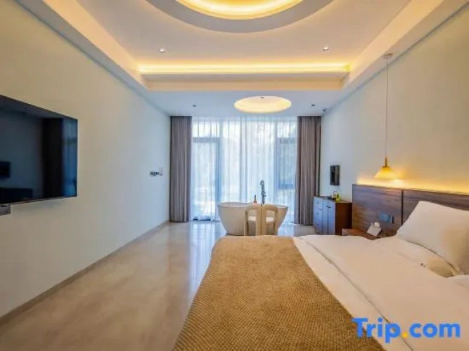 Standard Double room with courtyard view