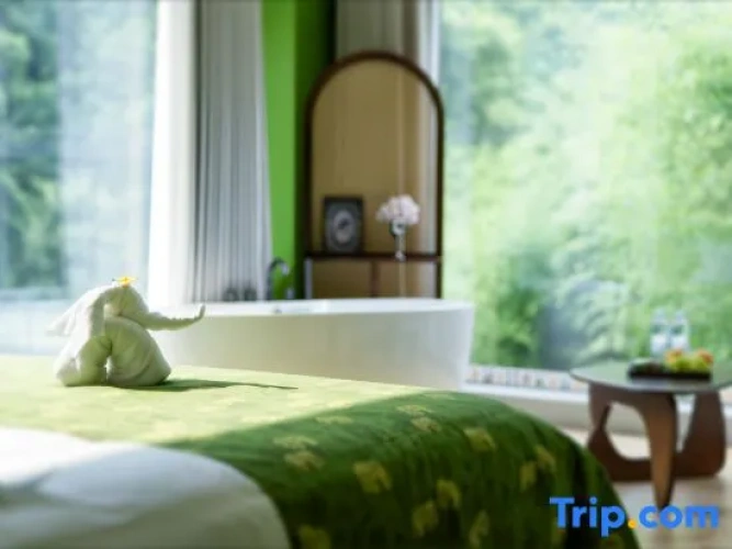 Standard Double room with view