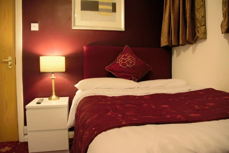 Deluxe Single room with view