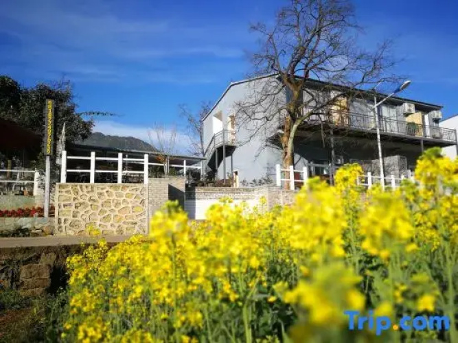 Home Inn