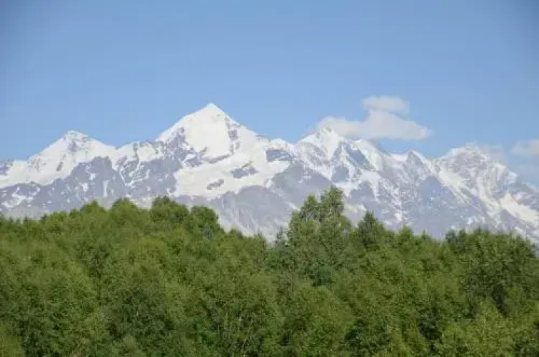 Sesitati