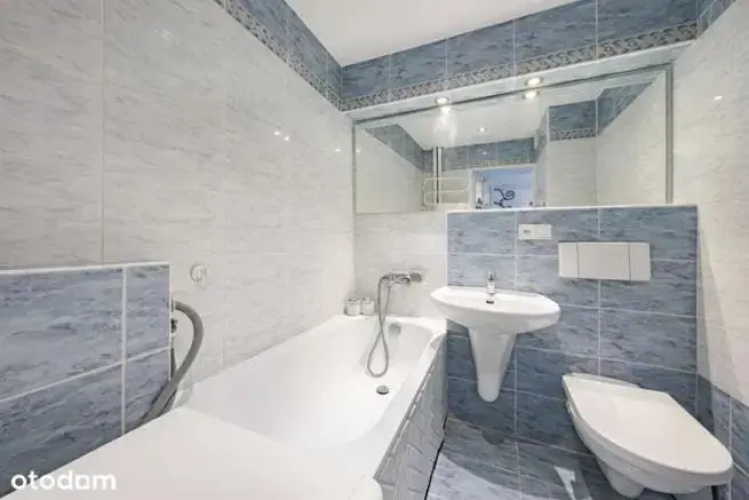 Navigator Suite (Adults Only)