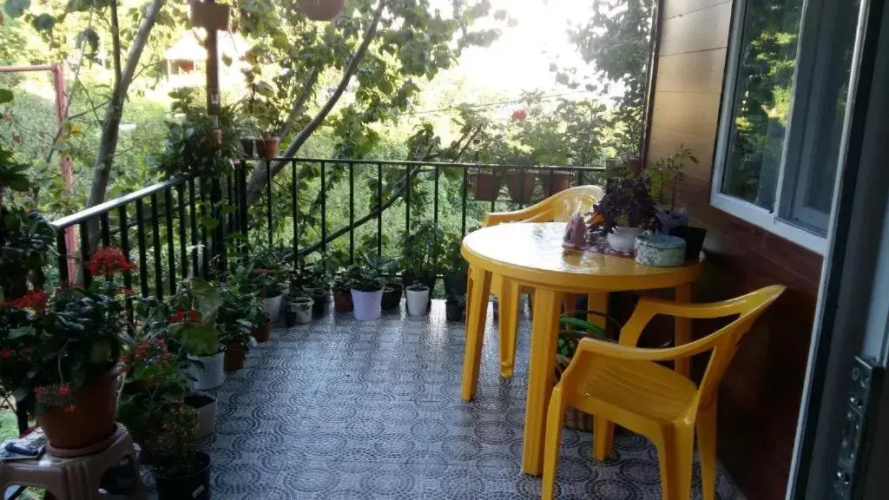 Afsaros