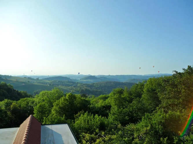 Weingut Stoff