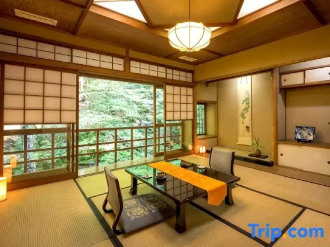 Standard room with river view