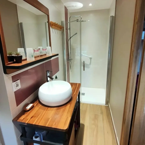 Classic Double room with garden view