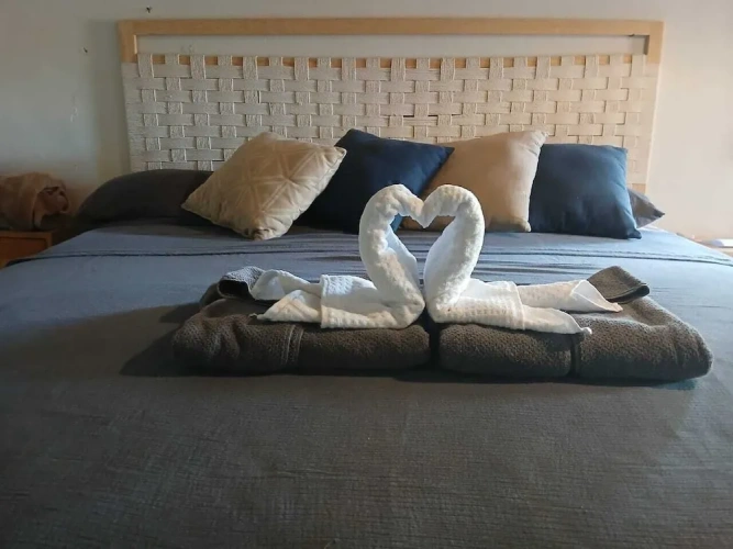 1 Bedroom Economy room