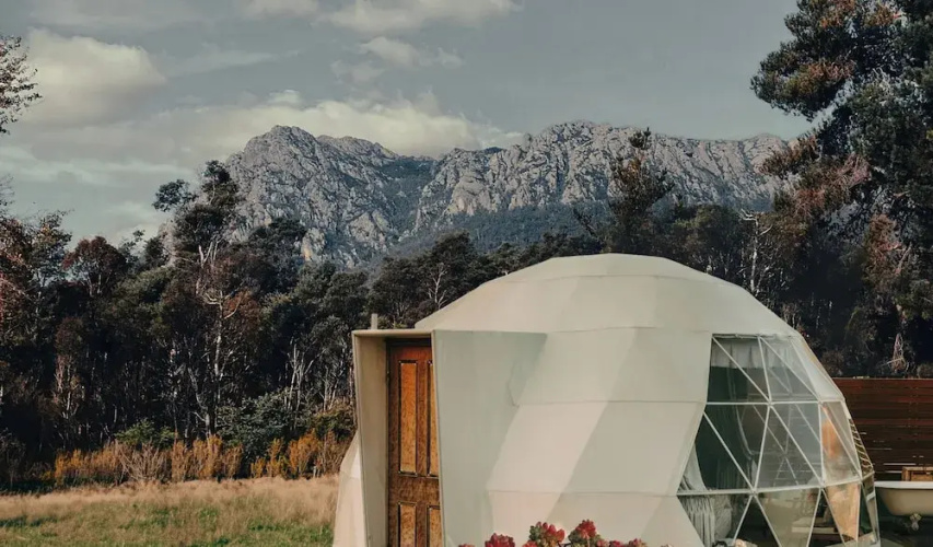 Wilder Tasmania