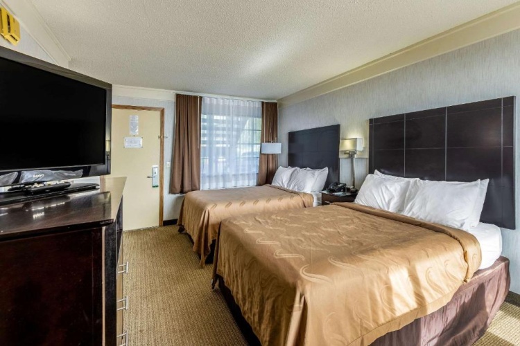 Quadruple Basement Suite