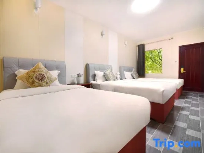 1 Bedroom Standard Double room