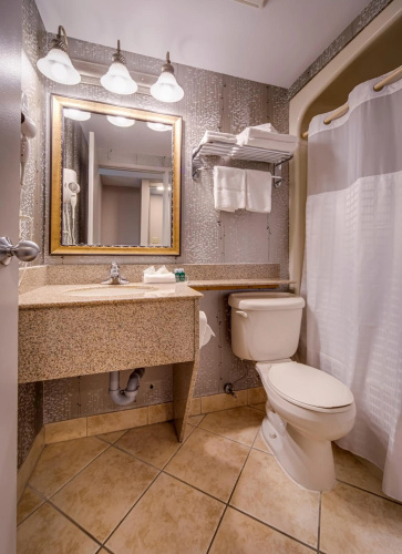Monte Carlo Inn - Vaughan Suites photo 12