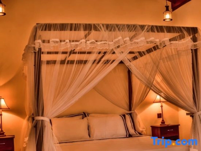 1 Bedroom Deluxe Double room with garden view