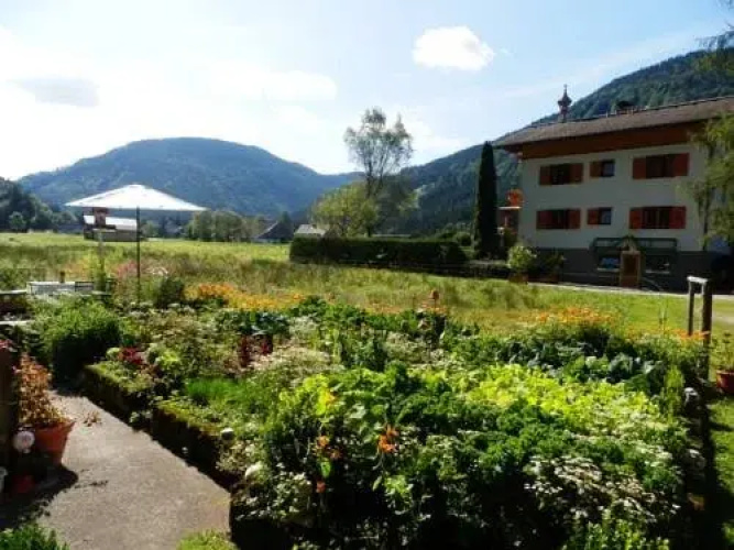 Haus Elfi