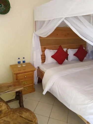 Standard Single room with city view