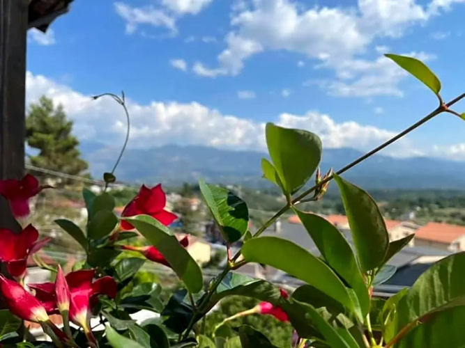 Hotel PINO LORICATO