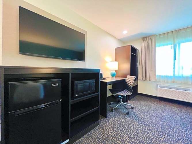 1 Bedroom Suite