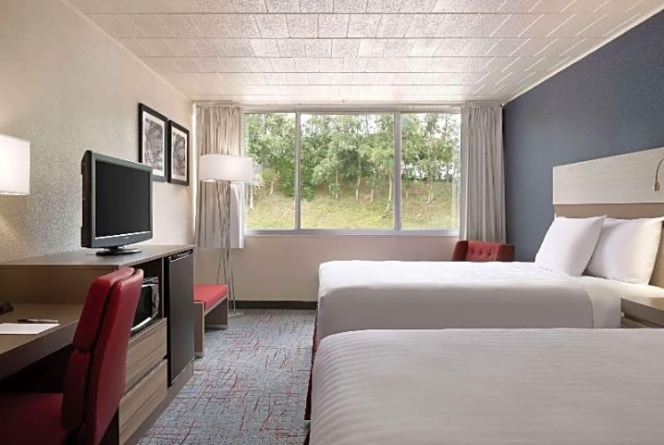 Standard Quadruple Suite