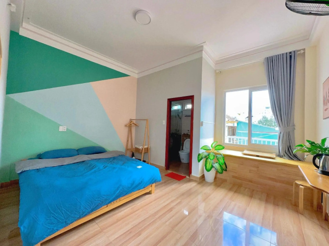 Nấm Home