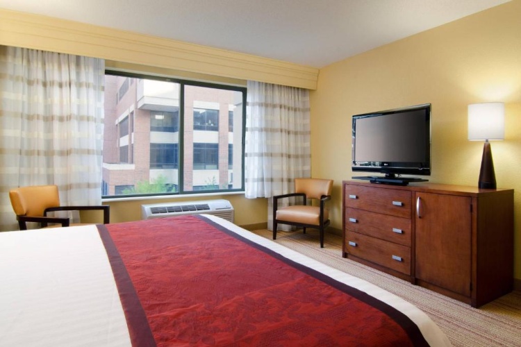1 Bedroom Double Suite