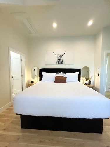 Double Penthouse Suite