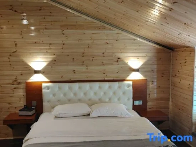 Standard Double Attic room with river view