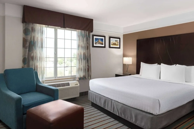 1 Bedroom Suite