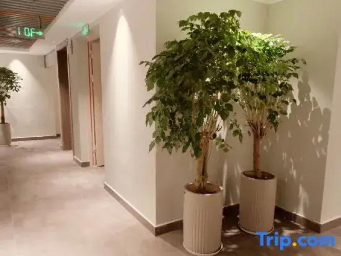 Xinfeng Tea House Hotel