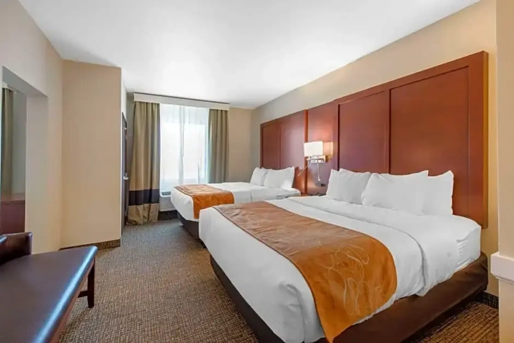 Sextuple Suite