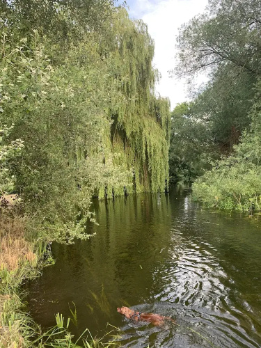 Wensum Glamping