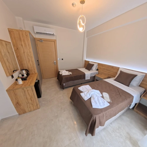 Deluxe Twin room with balcony and with garden view