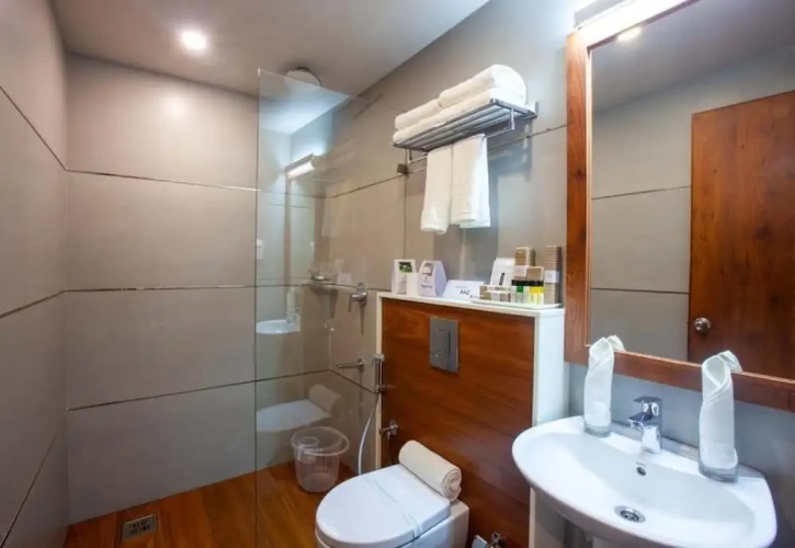 Deluxe Double room with balcony
