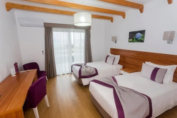 Standard Twin room with sea view