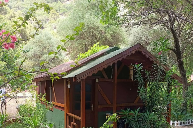 Canario Bungalows