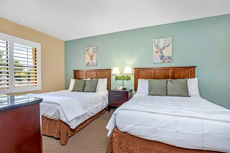 Near Disney - 1BR With Two Queen Beds - With Shared Pool and Hot Tub