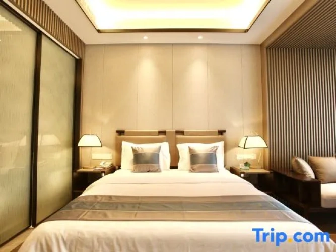 Standard Single room with garden view