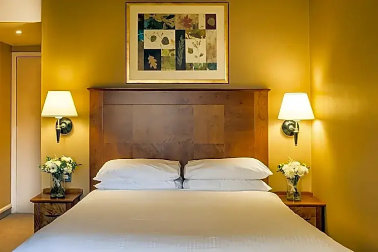 Standard Double Club room