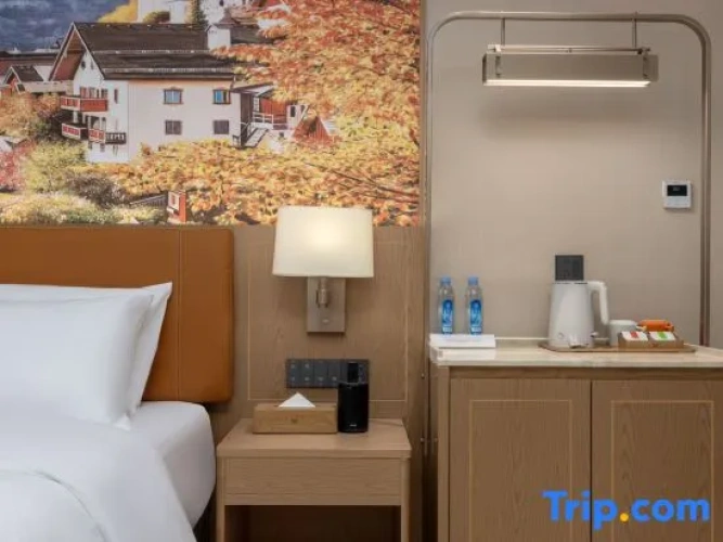 Standard Twin Family room