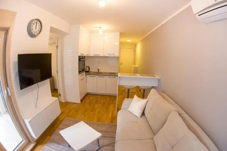 1 Bedroom Apartment